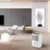 Dezumidificator de aer Turbionaire Smart 12 eco - 12 l/24h, Garantie 3 ani, Panou de control digital , Higrostat incorporat, Timer, Auto Restart, Filtru lavabil,  Silentios