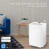 Dezumidificator Turbionaire REVI 20 WIFI ION, 20 l/24h,WIFI, Purificare prin ionizare, Silentios 41 dB, Garantie 3 ani, Rezervor 4.5l, Control digital, Indicator luminos LED umiditate, Timer, Display LCD