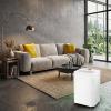Dezumidificator Turbionaire REVI 20 WIFI ION, 20 l/24h,WIFI, Purificare prin ionizare, Silentios 41 dB, Garantie 3 ani, Rezervor 4.5l, Control digital, Indicator luminos LED umiditate, Timer, Display LCD Dezumidificator Turbionaire REVI 20 WIFI ION, 20 l/24h,WIFI, Purificare prin ionizare, Silentios 41 dB, Garantie 3 ani, Rezervor 4.5l, Control digital, Indicator luminos LED umiditate, Timer, Display LCD