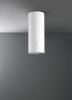 Hota insula FALMEC Polar White , Motor 800 mc/h, Iluminare LED, Garantie 5 ani, Fabricatie Italia, Inox AISI 304