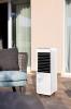 Racitor de aer ARGO POLIFEMO FINN, Ventilatie, Racire, Umidificare, Purificare, Control Mecanic, Rezervor 10L, Filtru Evaporativ, Culoare Alba, Roti multidirectionale